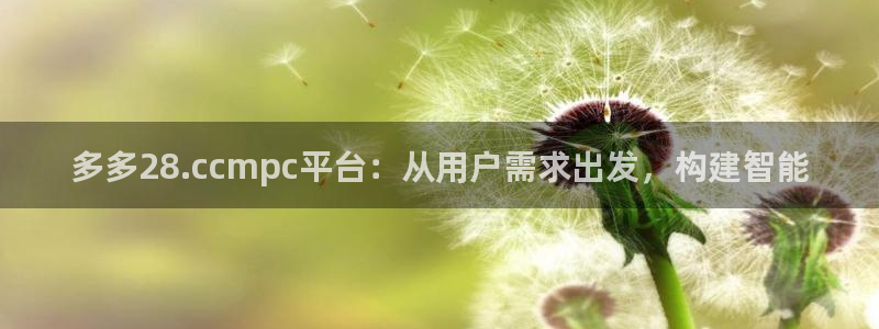 NG大舞台平台：多多28.ccmpc平台：从用户需求出发，构建智能