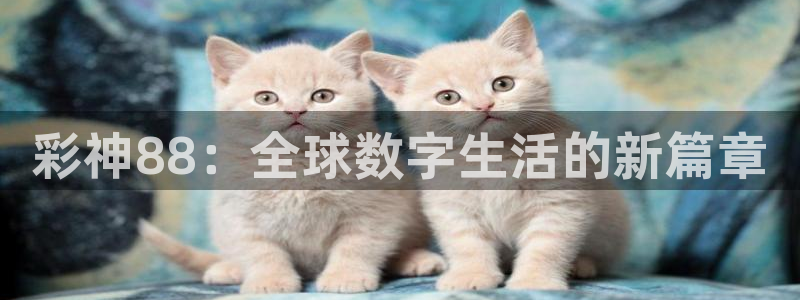 NG大舞台3：彩神88：全球数字生活的新篇章