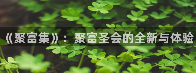 ng大舞台官网入口：《聚富集》：聚富圣会的全新与体验
