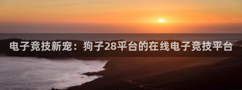 NG大舞台招商：电子竞技新宠：狗子28平台的在线电子竞技平台
