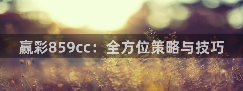 巅峰国际ng大舞台最经典十句话：赢彩859cc：全方位策略与技巧
